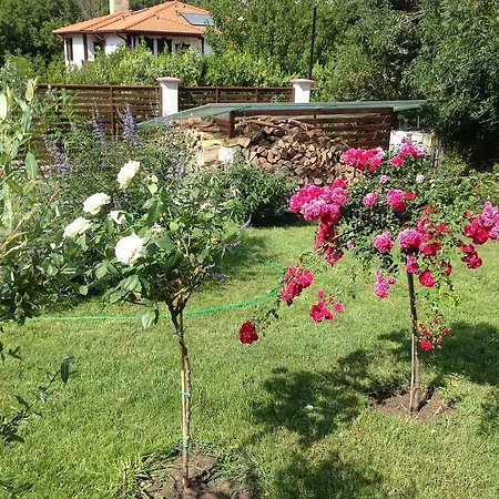Zapovedni Rai Apartamento Primorsko